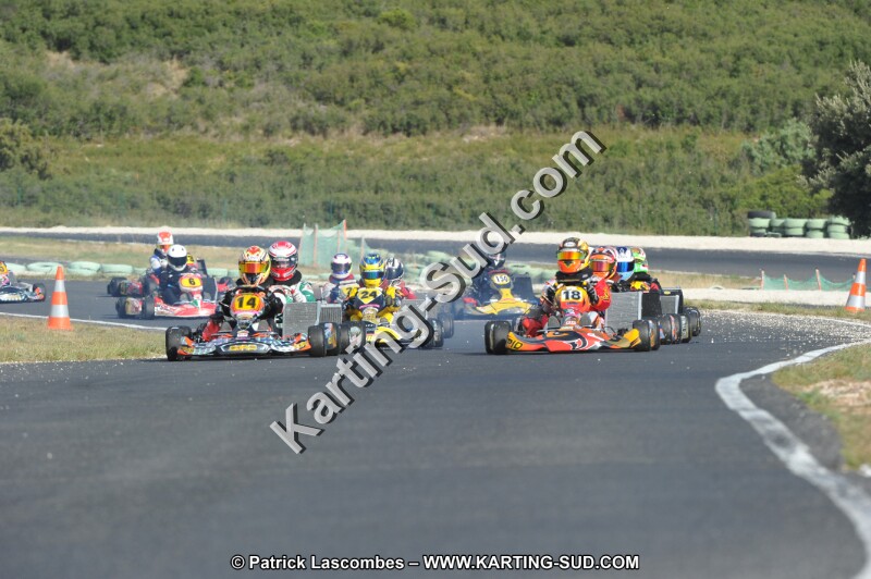 DSC (3937).JPG